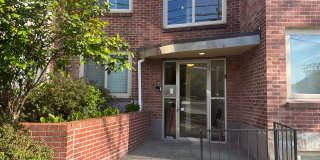 Norman Norman Gallery 1