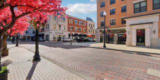 The Wren & Windsor Gallery 26