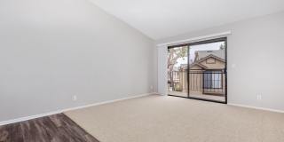 Mountain Springs Gallery 28