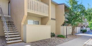 Lincoln Place Gallery 19