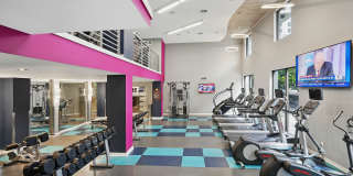 AMLI Dadeland Gallery 6