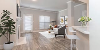 Carrara at Cole Gallery 9