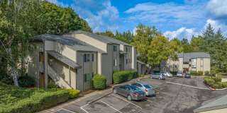 Downing Hills Gallery 19