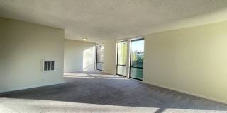 1081 Beach Park Blvd #211 Gallery 4