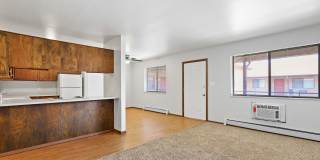 Don Quixote Gallery 12