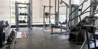 Vivo Living Gallery 13