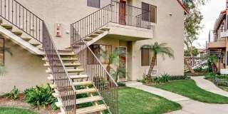 8217 Jade Coast Gallery 1