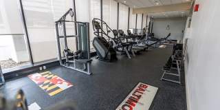 Vivo Living Gallery 15