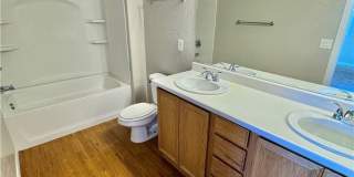 335 CLARENCE HOUSE Avenue Gallery 13