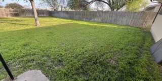 208 Michelle Gallery 14