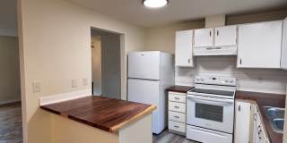 Beautifully Updated 4-Bedroom Home in Desirable Northeast Tacoma Beautifully Updated 4-Bedroom Home in Desirable Northeast Tacoma Gallery 22