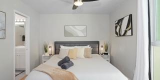 3054 Rue Dorleans Gallery 17