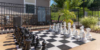 The Encore Gallery 16