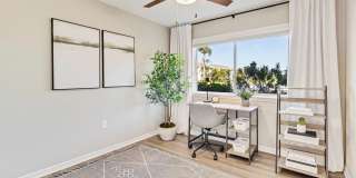 Lexington Palms at the Forum Gallery 14