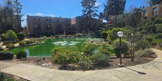 1 Bed 1 Bath Close to Lake Murray Gallery 22