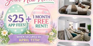 Bella Vista Gallery 9