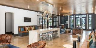 The Premier Gallery 21