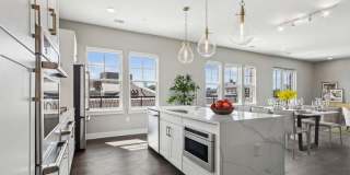 Society at Laurens Gallery 58