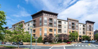 Mira Upper Rock Gallery 83