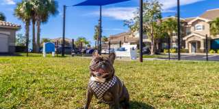 Lakes of Tuscana Gallery 28