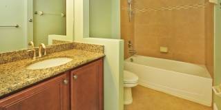 Walk to the ocean! Gallery 12