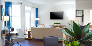 Vanguard Crossing Gallery 19