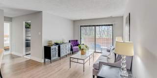 Echelon Glen Gallery 3