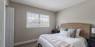 Collins Crossing Gallery 30