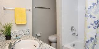 Spectra at Tamarac Gallery 36