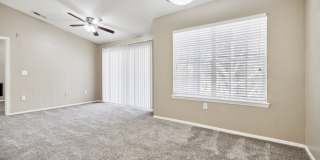 Vista Lake Ned Gallery 52