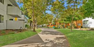 Lakeside Village (CA) Gallery 37