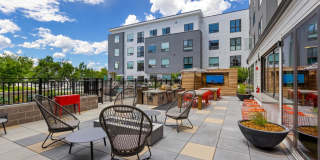 Jayne Jayne Gallery 1