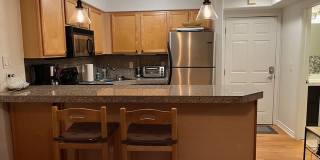 1833 North Williams Street - 504 Gallery 21