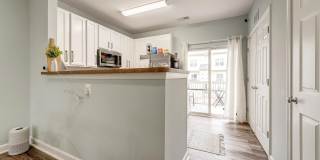 42461 ROCKROSE Square Gallery 15