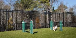 Livano Limestone Springs Gallery 35