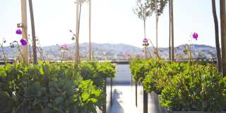 The Madelon Gallery 21