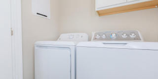 Windsor at Manhattan Gallery 25