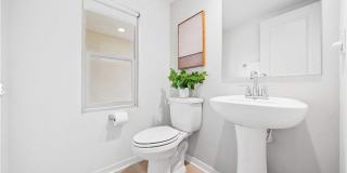 115 Episode Gallery 1