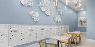 Olea Beach Haven Gallery 29