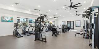 The Maddox Gallery 4