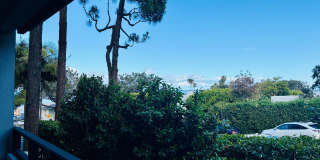 Los Arboles Apartments Gallery 10