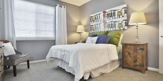 Shadow Ridge Apartments Gallery 11
