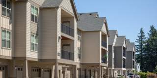 Springville Oaks Gallery 10