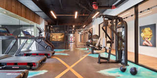 Maizon Durham Gallery 15