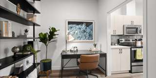 The Bristol At Southport Gallery 6