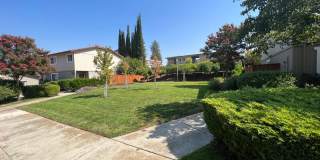 Stunning Pleasanton Vintage Terrace Townhouse! 2 bedrooms and 1.5 bathrooms! Sharp upgrades throughout including laminate wood and tile flooring, premium cabinetry a Gallery 5