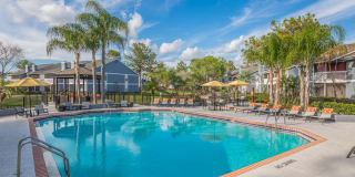 Northgreen at Carrollwood Gallery 17