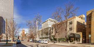 The Profile Gallery 13