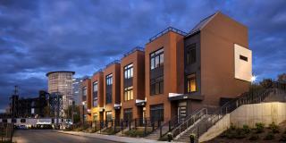 The Collins The Collins Gallery 9