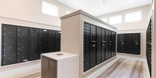 Prosper Crossings Gallery 18